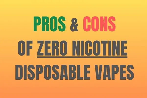 Nicotine-Free Disposables Review: Savor the Variation! Vape Wholesale Global Nicotine-Free Disposables Review: Savor the Variation! Vape Wholesale Global