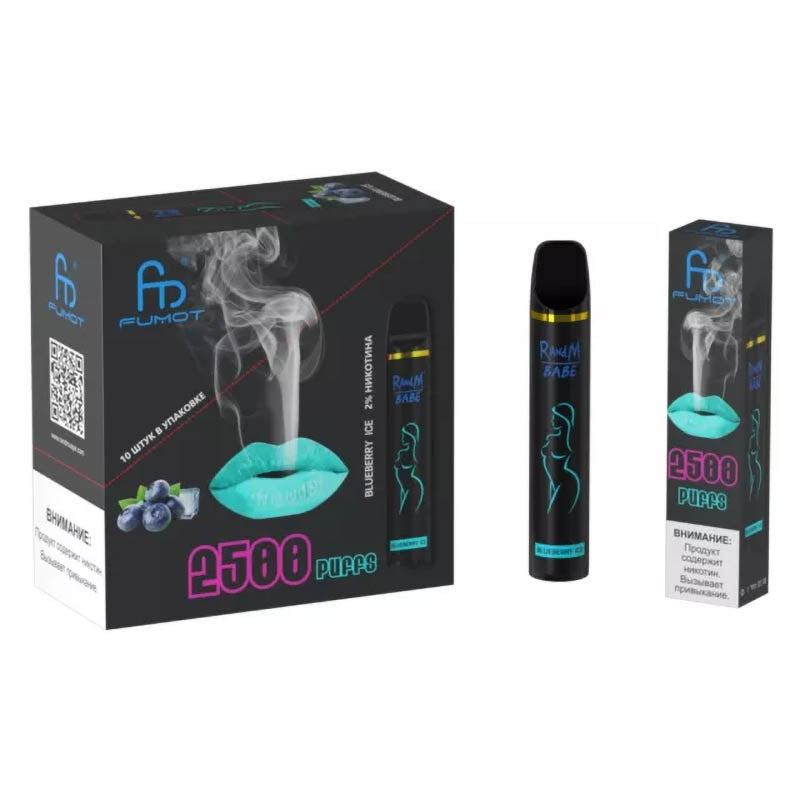 RandM Bebek Tek Kullanımlık Vape 2500 Puffs
