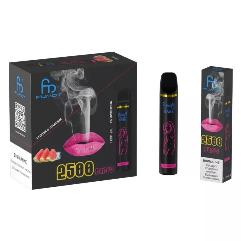 RandM Bebek Tek Kullanımlık Vape 2500 Puffs