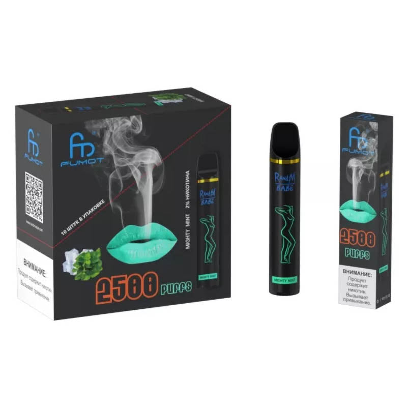 RandM Bebek Tek Kullanımlık Vape 2500 Puffs