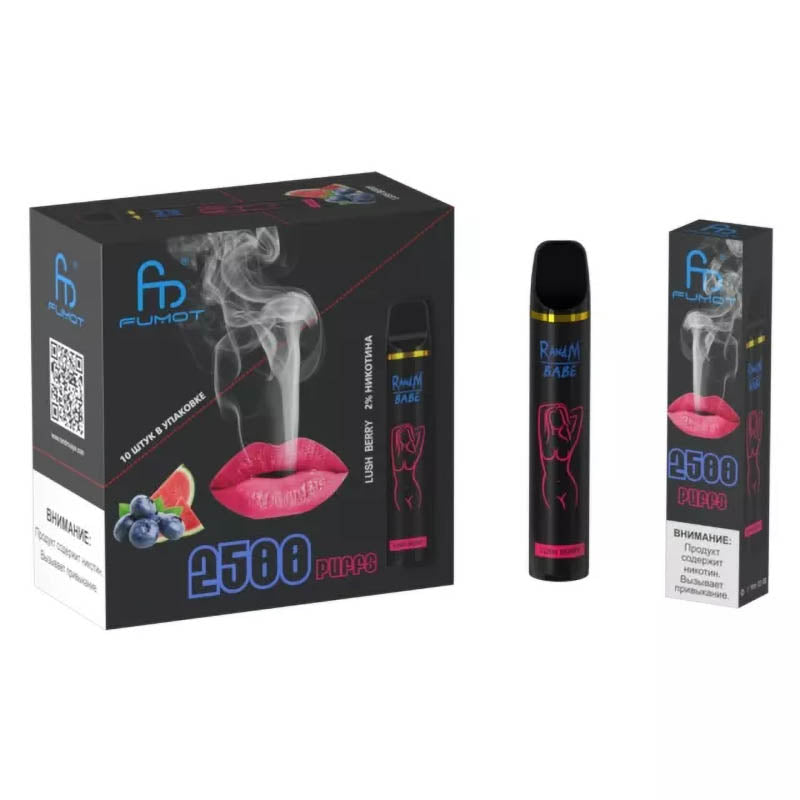 RandM Bebek Tek Kullanımlık Vape 2500 Puffs