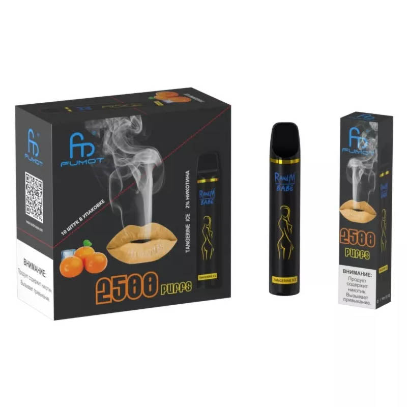 RandM Bebek Tek Kullanımlık Vape 2500 Puffs