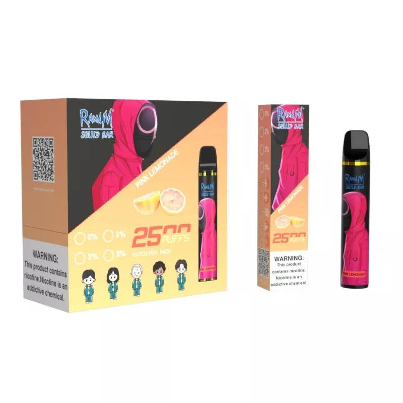 RandM Squid Bar 2500 Puffs Tek Kullanımlık Vape