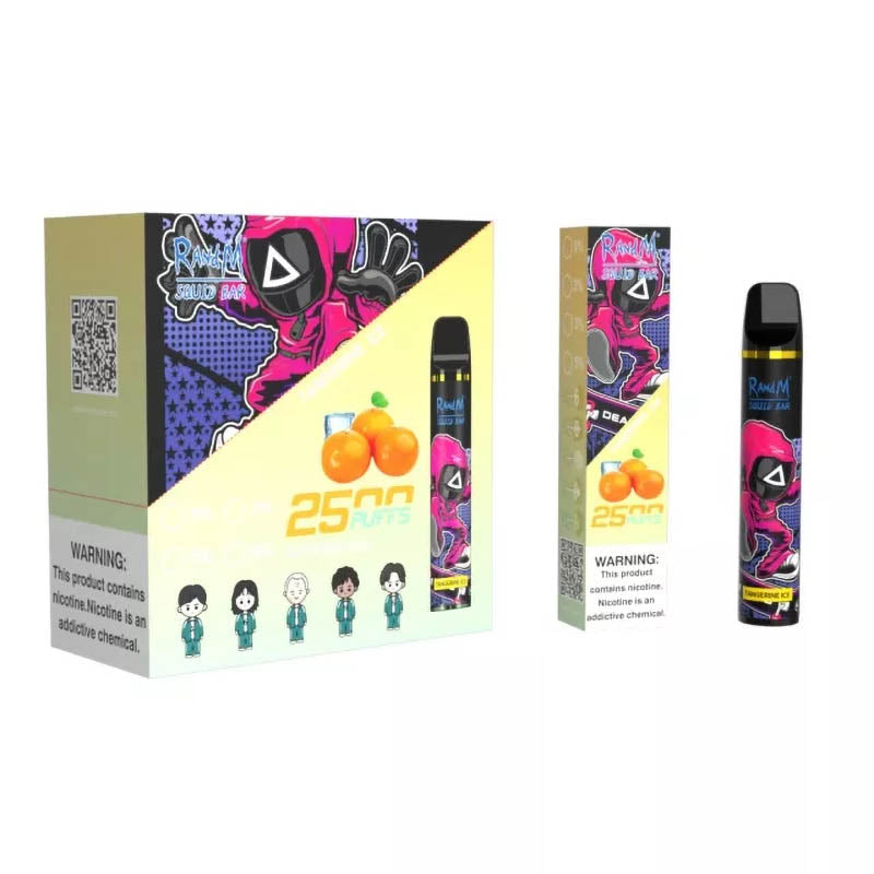 RandM Squid Bar 2500 Puffs Tek Kullanımlık Vape