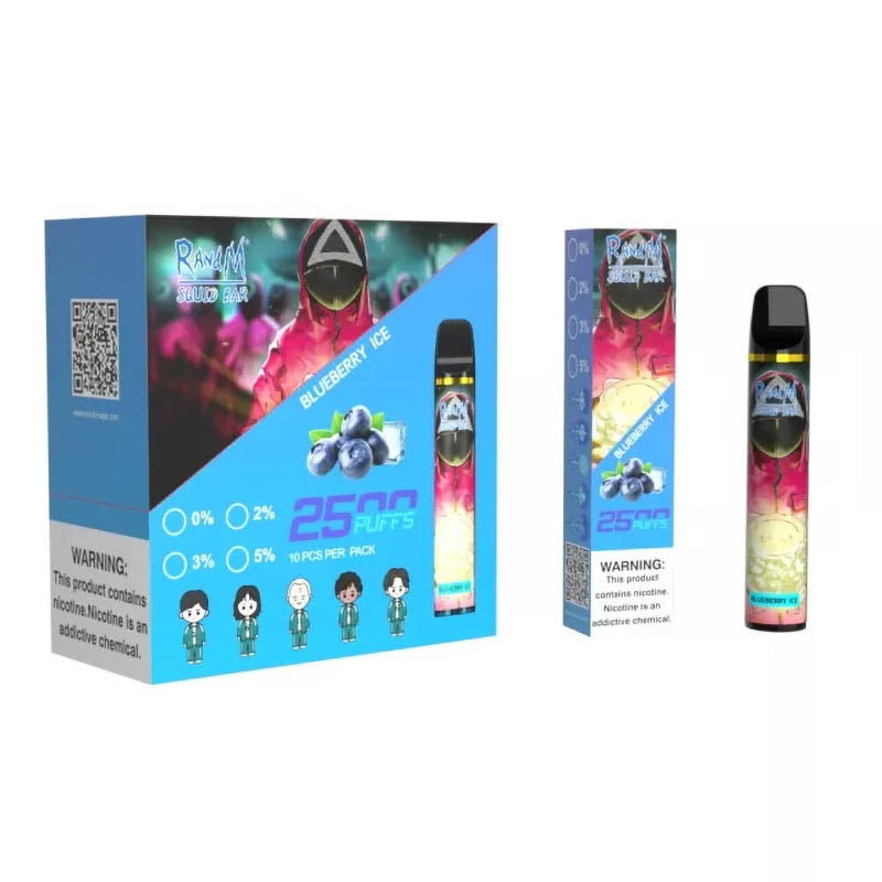 RandM Squid Bar 2500 Puffs Tek Kullanımlık Vape