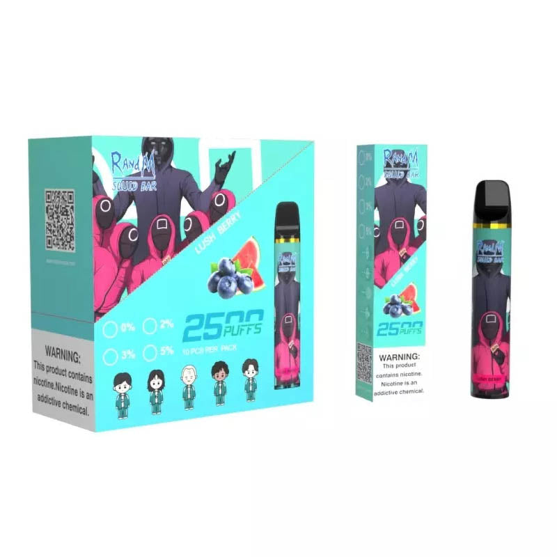 RandM Squid Bar 2500 Puffs Tek Kullanımlık Vape