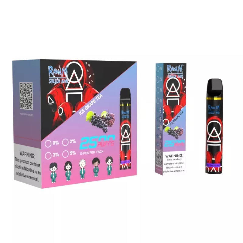 RandM Squid Bar 2500 Puffs Tek Kullanımlık Vape