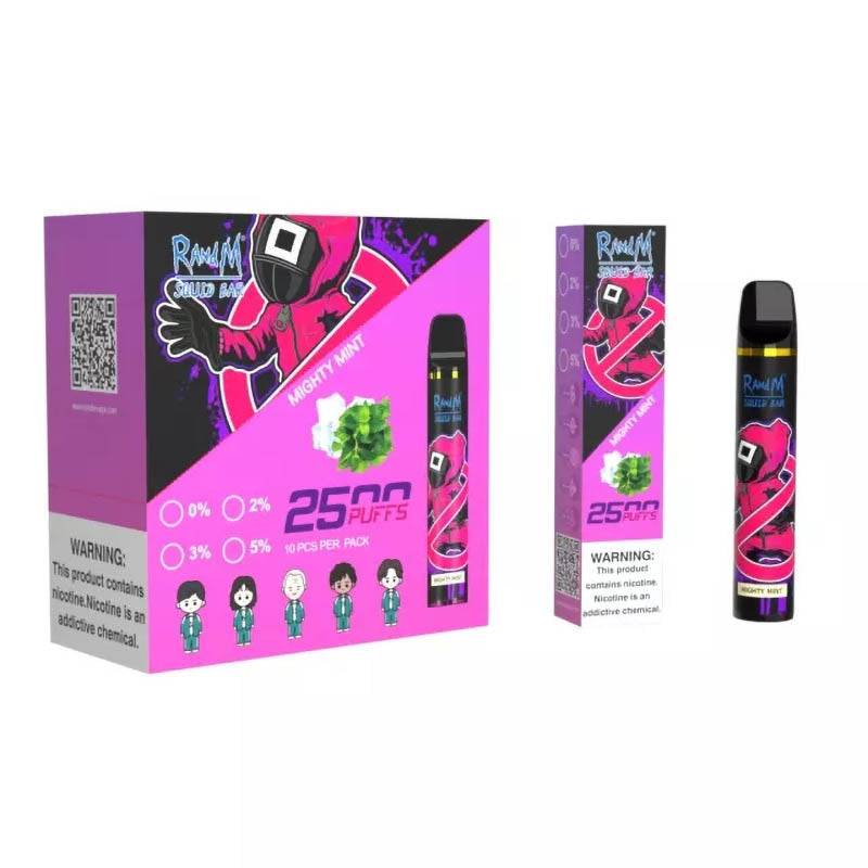 RandM Squid Bar 2500 Puffs Tek Kullanımlık Vape