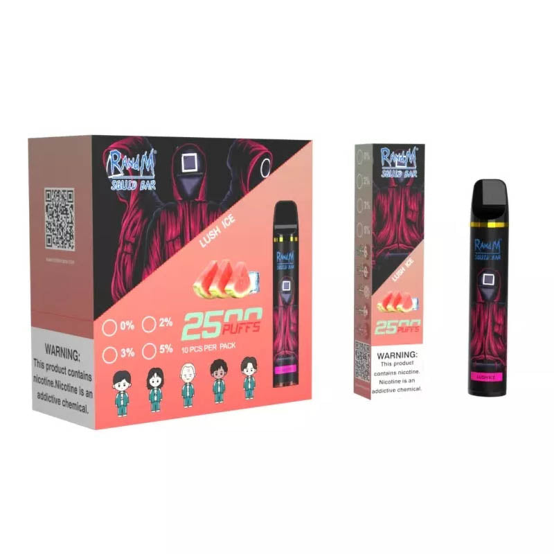 RandM Squid Bar 2500 Puffs Tek Kullanımlık Vape