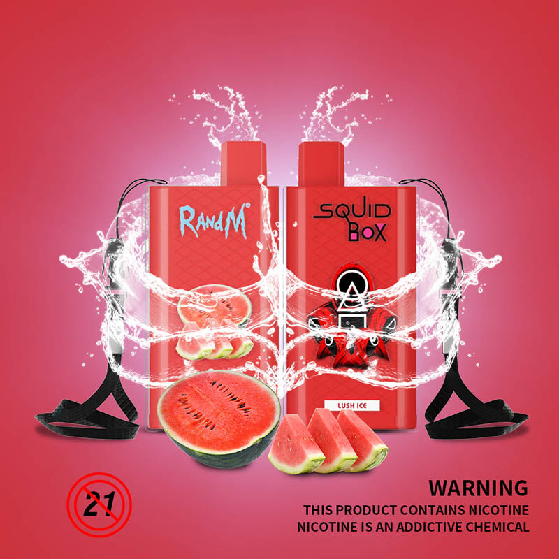 RandM Kalamar Kutusu Tek Kullanımlık Vape 5200 Puflar