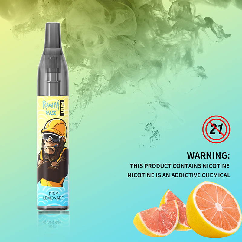 RandM Vase 600 Tek Kullanımlık Vape 600 Puflar