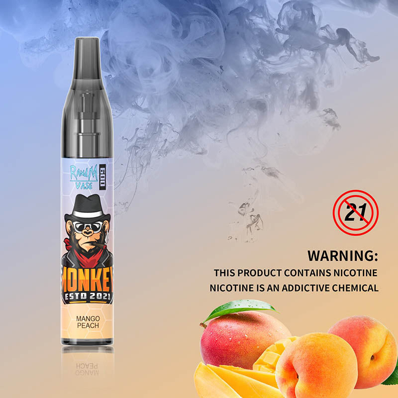 RandM Vase 600 Tek Kullanımlık Vape 600 Puflar