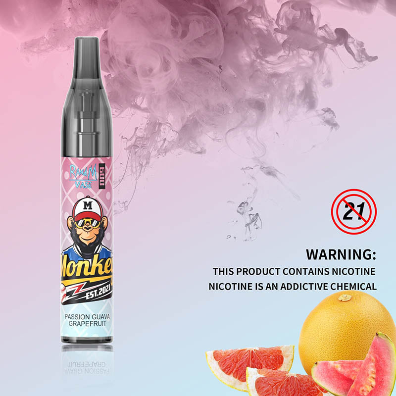 RandM Vase 600 Tek Kullanımlık Vape 600 Puflar