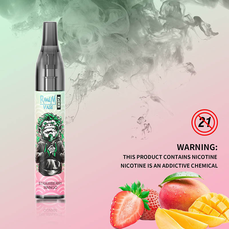 RandM Vase 600 Tek Kullanımlık Vape 600 Puflar